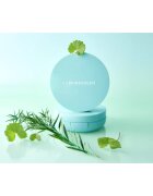 BRINGGREEN Tea Tree Cica Tone Up Sun Cushion gyengéd védő folyadék applikátorral SPF 50+ 15 g