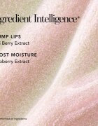 Chantecaille Brilliant Lip Gloss hidratáló ajakfény Charm 3 ml
