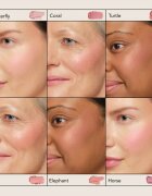 Chantecaille Cheek Shades arcpirosító Horse Joy 2.5 g
