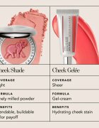 Chantecaille Cheek Shades arcpirosító Horse Joy 2.5 g