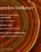 Chantecaille Future Skin Gel Foundation hidratáló alapozó élénkítő hatással Ivory 2N 30 g
