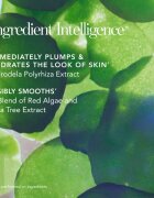 Chantecaille Just Skin Tinted Moisturizer tonizáló hidratáló kérm a ragyogó hatásért SPF 15 Chesnut 35 g