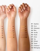 Chantecaille Just Skin Tinted Moisturizer tonizáló hidratáló kérm a ragyogó hatásért SPF 15 Chesnut 35 g