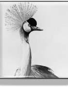 Chantecaille Luminescent Eye Shades gyöngyházas szemhéjfestékek Crane 2.5 g