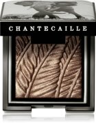 Chantecaille Luminescent Eye Shades gyöngyházas szemhéjfestékek Elephant 2.5 g