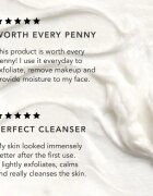 Chantecaille Rice and Geranium Foaming Cleanser gyengéd tisztító emulzió hidratáló hatással 70 g
