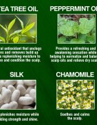 CHI Tea Tree Oil Shampoo sampon zsíros hajra és fejbőrre 340 ml