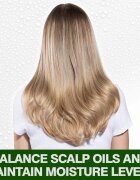 CHI Tea Tree Oil Shampoo sampon zsíros hajra és fejbőrre 739 ml