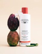 Christophe Robin Regenerating Shampoo mélyregeneráló sampon sérült vegyileg kezelt hajra 250 ml