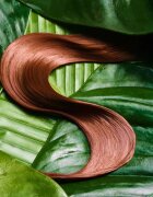 Coco & Eve Bond Therapy Pro Bond Conditioner hidratáló és hajerősítő kondicionáló sérült vegyileg kezelt hajra 280 ml