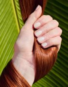 Coco & Eve Bond Therapy Pro Bond Conditioner hidratáló és hajerősítő kondicionáló sérült vegyileg kezelt hajra 280 ml