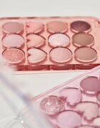 Colorgram Pin Point Eyeshadow Palette szemhéjfesték paletta a tökéletes küllemért árnyalat 01 Peach+Coral 9.9 g