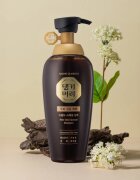 DAENG GI MEO RI New Gold Special Shampoo erősítő sampon zsíros hajra 500 ml