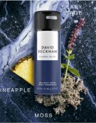 David Beckham Classic Blue spray dezodor uraknak 150 ml