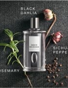David Beckham Classic Homme Eau de Toilette uraknak 100 ml