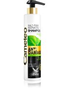 Delia Cosmetics Cameleo BB keratin sampon a károsult hajra 250 ml