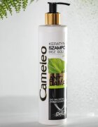 Delia Cosmetics Cameleo BB keratin sampon a károsult hajra 250 ml