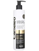 Delia Cosmetics Cameleo BB keratin sampon a károsult hajra 250 ml
