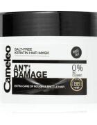 Delia Cosmetics Cameleo BB keratinos maszk a károsult hajra 200 ml
