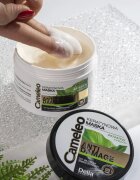 Delia Cosmetics Cameleo BB keratinos maszk a károsult hajra 200 ml