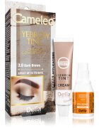 Delia Cosmetics Cameleo professzionális krémes festék a szemöldökre ammónia nélkül árnyalat 3.0 Dark Brown 15 ml