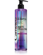 Delia Cosmetics Cameleo Silver sampon semlegesíti a sárgás tónusokat 250 ml