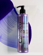 Delia Cosmetics Cameleo Silver sampon semlegesíti a sárgás tónusokat 250 ml