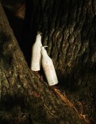 Delia Cosmetics Forest Blend hidratáló testápoló tej 300 g