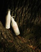 Delia Cosmetics Forest Blend regeneráló testápoló tej 300 ml