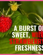 Dermacol Aroma Moment Wild Strawberries friss tusfürdő gél 30 ml