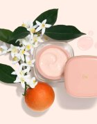 Dolce&Gabbana Fresh Skin Glow-Bounce Ceramide Cream Refill hidratáló és puhító krém utántöltő 50 ml