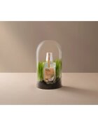 Ecodenta Cosmos Organic Minty Coconut szájvíz íz Coconut Aloe Vera Pepermint 500 ml