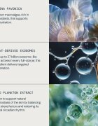 Elemis Dynamic Resurfacing Facial Pads arctisztító peeling párnácskát az élénk és kisimított arcbőrért 60 db