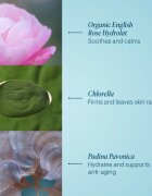 Elemis Pro-Collagen Rose Marine Cream hidratáló géles krém a feszes bőrért 30 ml