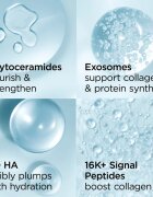 Elizabeth Arden Hyaluronic Acid + Peptides Ceramide hidratáló arckrém s ceramidy a peptidy 50 ml