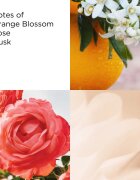 Elizabeth Arden Sunflowers Eau de Toilette hölgyeknek 100 ml