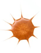 essence Drop of Sunshine folyékony bronzosító 25 ml