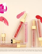 Eveline Cosmetics Celebrity Lips tartós matt folyékony rúzs árnyalat 04C 4 ml