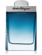 Ferragamo Subtil Pour Homme Eau de Toilette uraknak 100 ml