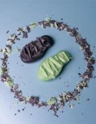 Foamie Too Coal To Be True szilárd arctisztító normál és kombinált bőrre 60 g