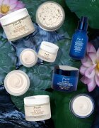 fresh Lotus Youth Preserve Dream Cream éjszakai krém az öregedés összes jele ellen 15 ml