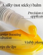 fresh Sugar Melt Lip Cream tonizáló ajakbalzsam árnyalat Mango Pulp 12 g