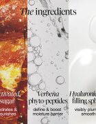 fresh Sugar Melt Lip Cream tonizáló ajakbalzsam árnyalat Mango Pulp 12 g