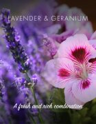 Friendly Soap Natural Shampoo Bar Lavender & Geranium természetes szappan hajra 7x95 g