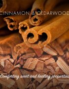 Friendly Soap Natural Soap Cinnamon természetes szappan 7x95 g