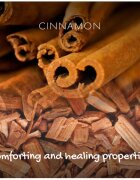 Friendly Soap Natural Soap Cinnamon természetes szappan 95 g