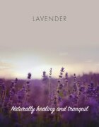 Friendly Soap Natural Soap Lavender természetes szappan 7x95 g