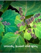 Friendly Soap Natural Soap Patchouli & Sandalwood természetes szappan 95 g