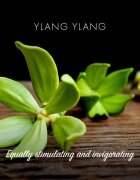 Friendly Soap Natural Soap Ylang Ylang természetes szappan 7x95 g