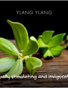 Friendly Soap Natural Soap Ylang Ylang természetes szappan 95 g